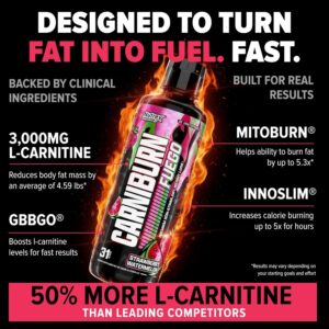 Nutrex Research Carniburn Liquid L Carnitine 3000mg – Thermogenic Liquid Fat Burner for Men & Women with MitoBurn, InnoSlim, GBBGO – Stimulant Free Metabolism Booster – Strawberry Watermelon 31 SV