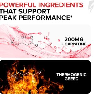 InnoSupps Volcarn 2000 – L-CARNITINE Pre-Workout Advanced Energy Liquid ATP Enhancer w/GBEEC Boosts Energy, Enhances Focus, Cognition & Supports Fat Metabolism, 32 Servings – Pink Starblast Flavor