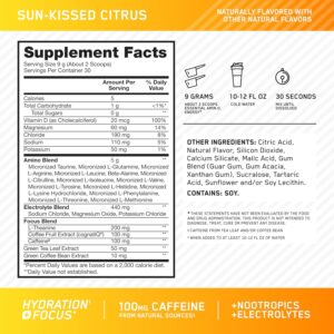 Optimum Nutrition Amino Energy Powder Plus Focus, with BCAA, Electrolytes, and Caffeine, Sunkissed Citrus, 30 Servings (Packaging May Vary)