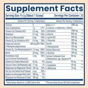 NativePath Native Hydrate, Zero Sugar, Electrolytes Powder with BCAAs, Tangerine Hydration, Keto & Paleo Friendly, 30 Servings
