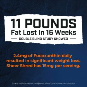 Thermogenic Capsaicin & L-Carnitine Premium Supplement for Men, Jitter-Free Blend of Capsaicin, Rauwolscine, Forskohlii, L-Carnitine & L-Theanine Supplement – 30SV