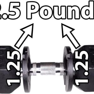 1.25 Pound Weight Clips – Adds 2.5 Total Pounds – For Dumbbells, Kettlebells, and Barbells – 1.25 Weight – Dumbbell Add Weight – Dumbbell Weight Clips – Weight Clip – Fractional Weight Plates (4 Clip Pack)