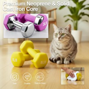 Fitvids Set of 2 Neoprene Dumbbell Hand Weights, Anti-Slip, Anti-roll, Hex Shape Colorful (Set with Rack: 20-Pound, 3 Pairs)