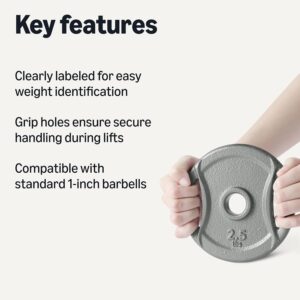 Amazon Basics 1-Inch Cast Iron Grip Weight Plates