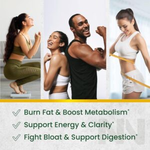Green Tea Fat Burner Gummies for Weight Loss | Metabolism Boost & Appetite Suppressant with Green Coffee Bean and Garcinia Cambogia | Pills to Burn Belly Fat for Women & Men by Nobi Nutrition