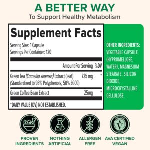Zenwise Health Green Tea Extract Capsules for Men & Women – EGCG Supplement with Green Coffee Bean Extract Boosts Energy & Memory – Immune Support for Skin, Brain & Hearth Health – Vegan – 120 Count