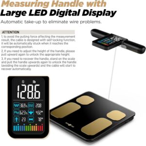 RunStar Scale for Body Weight and Fat Percentage, 8 Electrodes High Precision Digital Scale for BMI 28 Body Composition Measurement, Bathroom Smart Scales with Large Color Display FSA&HSA Eligible
