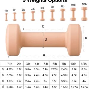 RUNWE Dumbbells Set of 2 – Cast Iron Dumbbell Pairs Options for 1 3 5 7 OR 10 LB Each, Hand Weights Sets Exercise & Fitness Dumbbell Free Weights for Child, Women, Men (Sold in One Pair Not All Sets)