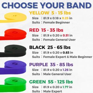 LEZER Resistance Bands – Pull Up Bands for Home Gym Fitness, Stretching, Physical Therapy & Training – Includes Instruction