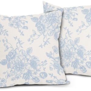 Vintage Floral Pillow Covers 18×18 Inch Set of 2 Baby Blue and Cream Floral Throw Pillow Covers Chinoiserie Flower Pillowcases Rustic Farmhouse Cushion Covers for Couch Home Decor
