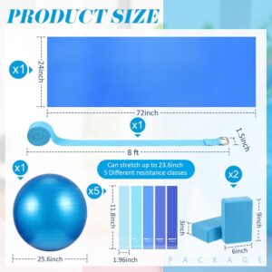 Liliful 10 Pcs Yoga Starter Kit Include 6mm Yoga Mat with Carry Strap, 2 Blocks, 65cm Pilates Ball, Stretch Strap, 5 Resistance Bands with Air Pump Home Workout Set for Beginners Women Men Gym