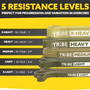 Tribe Lifting Resistance Bands for Working Out Men and Women – Set of 5 Pull Up Bands for Strength Training, Exercise Bands with Handles, Door Anchor and Bar Options for Home Gym