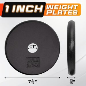 Yes4All Standard Weight Plates, 1-Inch Cast Iron Barbell Weights, Wide Range 5–40 LB, Ideal for Strength Training & Workout Routine, Available in Single, Pair & Set of 4