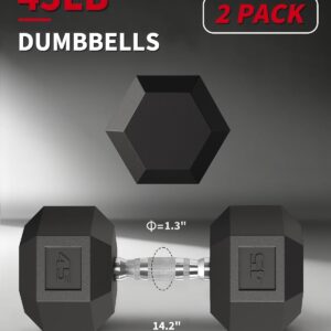 Cast Iron Hand Weights, 45 Lbs Fix Dumbbells in Pair for Home Gym
