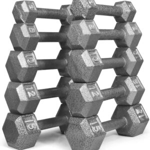WF Athletic Supply Cast Iron Dumbbell Set, Solid Hexagon Grey Dumbbell Set, Strength Training Free Weights for Women & Men