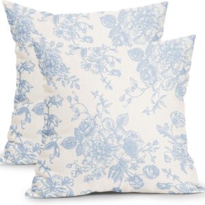 Vintage Floral Pillow Covers 18×18 Inch Set of 2 Baby Blue and Cream Floral Throw Pillow Covers Chinoiserie Flower Pillowcases Rustic Farmhouse Cushion Covers for Couch Home Decor