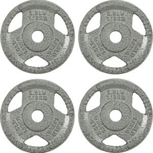 Fitvids Cast Iron Plate Weight Plate for Strength Training and Weightlifting, 1-Inch Center, 2.5LB (Set of 4)
