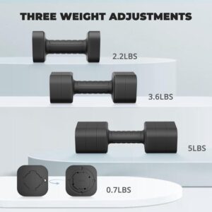 Ragebby Adjustable Dumbbell Set of 2, Weights for Men and Women at Home, Anti-slip Handle, 3 in 1 Free Weights Dumbbells Set, 2lb/3lb/5lb/10lb/15lb/20lb for Pilates, Yoga, Strength Training
