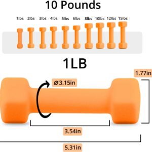 Portzon Weights Dumbbells 10 Colors Options Compatible Fitness Neoprene Dumbbell Weight Pairs with Anti-Roll Square Head Hand Weights, Exercise Free Weights for Home Gym