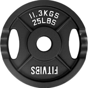 Olympic 2-Inch Cast Iron Plate Weight Plate for Strength Training and Weightlifting, Two Hole Style, 25LB Pair