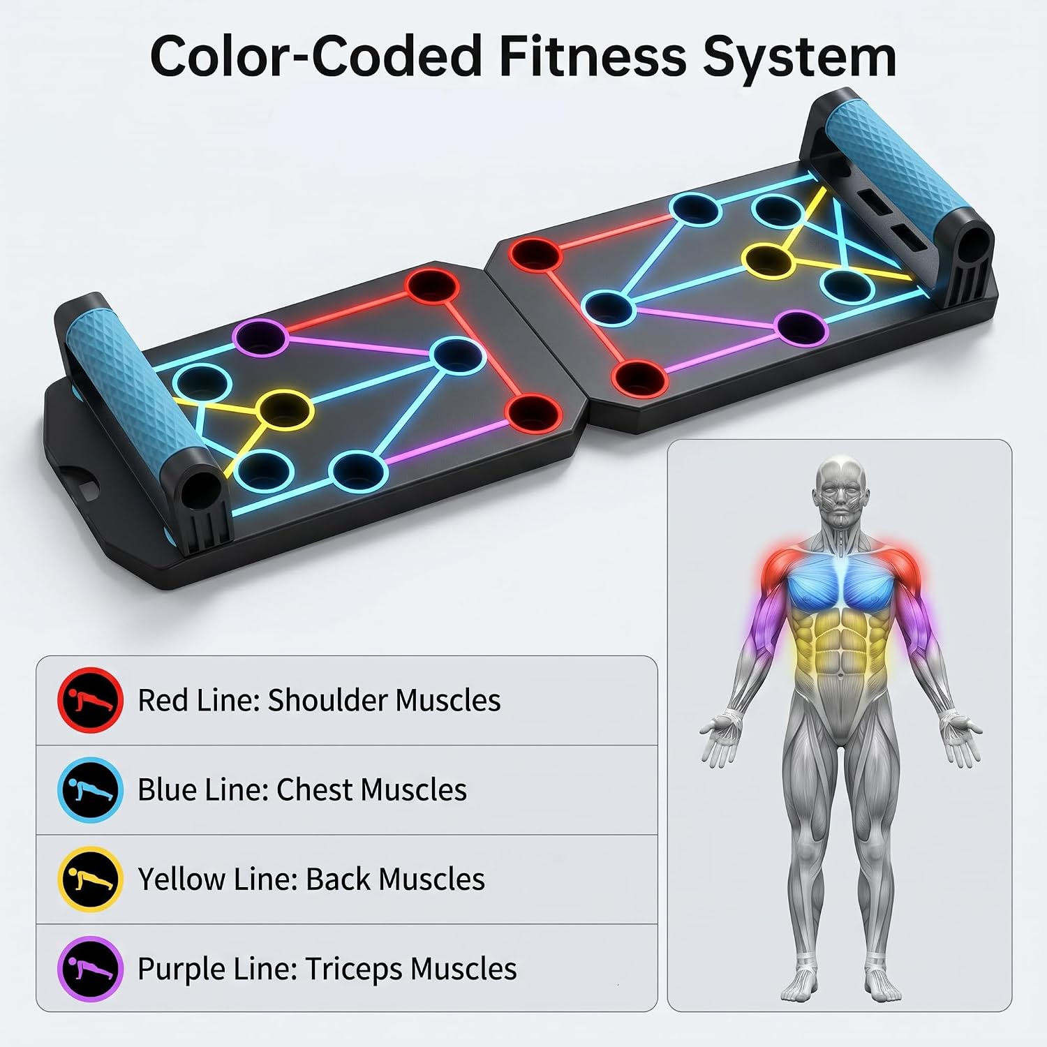 15 in 1 push up board for men solid Home Workout Equipment for Chest & Arm Strength Training, Multi-Functional Pushup Stands System for Men & Women, Portable Fitness Equipment for Fat Burn & Muscle Building - Image 2