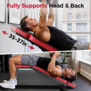 Nicepeople Adjustable Weight Bench up to 6.5”, Dual-Support Workout Bench & 10 Backrests for Chest Shoulders Arms for Home Gym, 660LBS Capacity but Compact and Foldable Strength Bench Apartment Room