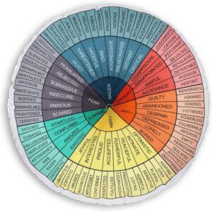 Wheel of Emotions feelings Pillow Round Throw Circle Seating Floor Cushion Comfortable Round Pillow Floor Cushions Mat for Therapist Counseling Office Home Sofa Decor (Dark Colors,20 x 20 Inch)
