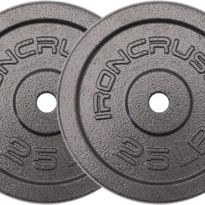 Standard 1 inch Cast Iron Weight plates – Superior Hammertone Finish, Wider Range 1.25-50 lbs Weights. Ideal for Dumbbell Handles, 1in Barbells, Adjustable Kettlebell Handles – Sold in Pairs