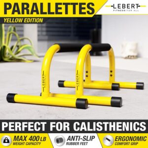 Lebert Fitness Parallette Push Up Bars Dip Station Stand – Perfect for Home and Garage Gym Exercise Equipment – Gymnastics, Calisthenics, Strength Training Parallel Bars for Men and Women