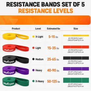 5-Pack Resistance Bands Set, Exercise Bands with Handles & Door Anchor, Stretch Bands for Pull Up Assistance, Home Gym & Strength Training