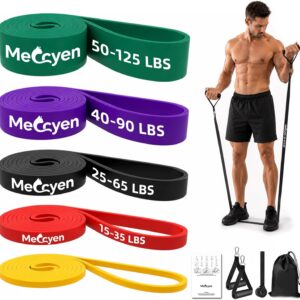 5-Pack Resistance Bands Set, Exercise Bands with Handles & Door Anchor, Stretch Bands for Pull Up Assistance, Home Gym & Strength Training