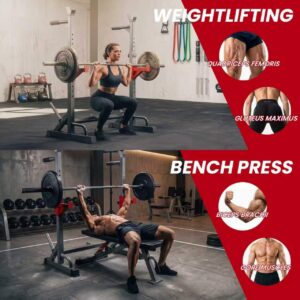 YYJO Adjustable Squat Rack | 550 LBS Heavy Duty, 8 Height & 10 Width Levels, 6-Position Safety Bumper, Home Gym Weight Lifting Stand, Strength Training
