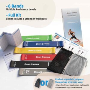6-Levels Resistance Exercise Loop Bands Set – Elastic Workout Bands for Yoga, Strength Training, Physical Therapy – Guide, Fitness Card & Carry Bag