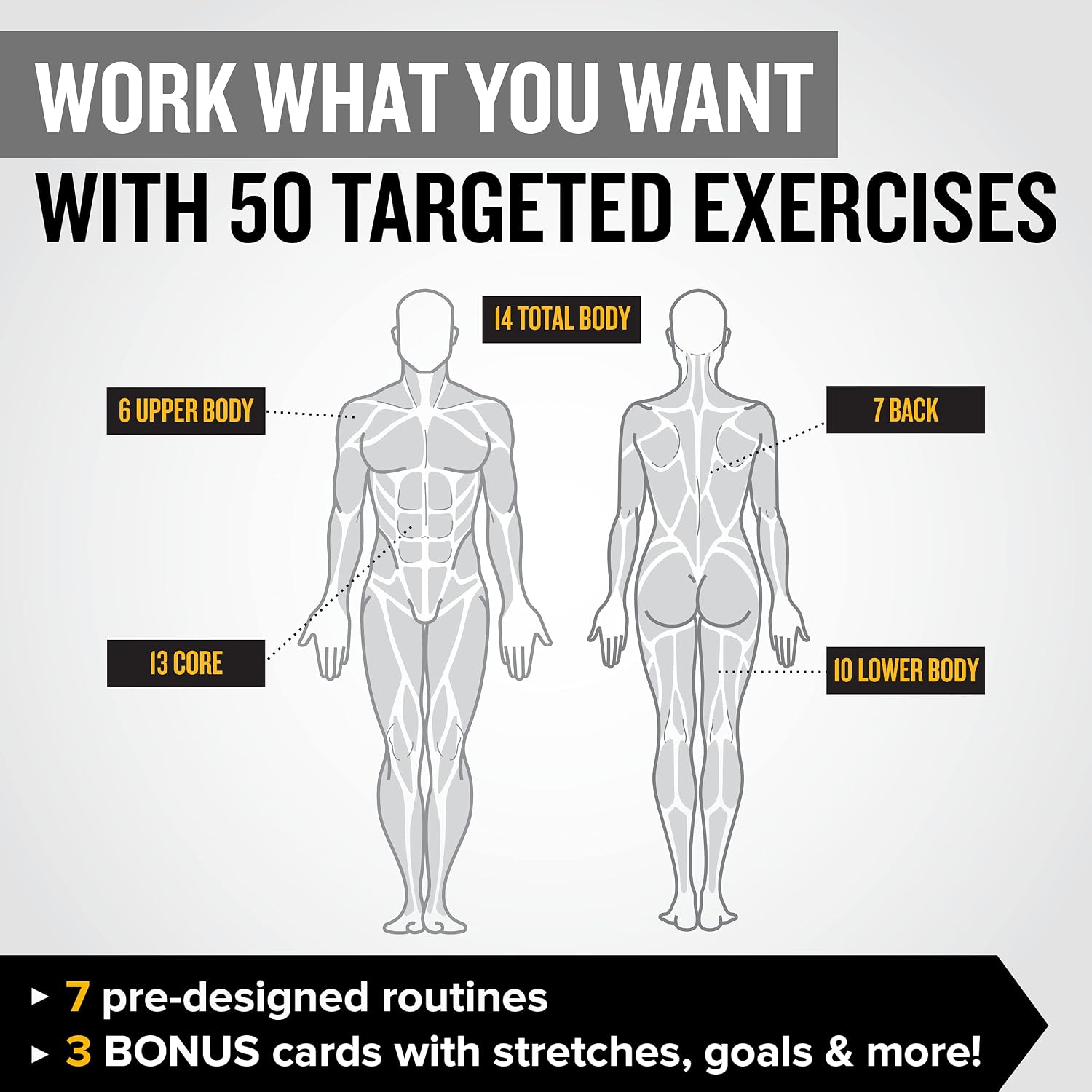 NewMe Fitness Dumbbell Workout Cards, Instructional Fitness Deck for Women & Men, Beginner Fitness Guide to Training Exercises at Home or Gym (Dumbbell, Vol 2) - Image 7