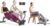 Sunny Health & Fitness Magnetic Under Desk Mini Exercise Cycle Bike, Dual Function Pedal Exerciser + Smart Compact Adjustable Rowing Machine, 12 Levels Adjustable Resistance, Complete Body Workout