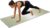 Yoga Mat Non Slip, Sage Green Ombre Fitness Yoga Mats with Carrying Strap & Bag, Aesthetics Modern Abstract Art Gradient Women Workout Mats for Home Pilates Floor Exercises Travel