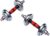 1Pair Durable Electroplated Dumbbell for Home Fitness Skid Grip Solid Portable Storage Box Included Exercise Equipment for Strength Training