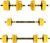 33 Lbs /44 Lbs Adjustable Dumbbell Weight Set