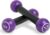 Zumba 2.5 lb Dumbbells Set of 2 – Hand Weights for Women, For Home Fitness Workout Excercise Weights Dumbbells Set, Purple