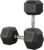 Cast Iron Hand Weights, 45 Lbs Fix Dumbbells in Pair for Home Gym