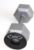 Platemate 1.25 lb. Donut Pair – Magnetic Add-On Weights for Iron or Steel Pro-Style Dumbbells and Barbells (2.5 lb. Set)