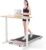 DeerRun Walking Pad, 2024 Upgrade Smart Under Desk Treadmill, 2.2HP Small Quiet Portable Treadmill, Walking Treadmill Under Desk, APP & Remote Control, Knee-Protective, No-Assembly