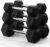 PAPABABE Hex Dumbbell Set, Rubber Coated Hand Weights for Women & Men, Free Weights for Strength Training, 45 to 550LB Weight Sets Dumbbells Set of 2 (45 Set)
