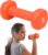 Gaiam Dumbbell Hand Weight (Sold in Singles) – Neoprene Coated Exercise & Fitness Dumbbell for Home Gym Workouts and Strength Training – Free Weights for Women and Men