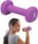Gaiam Dumbbell Hand Weight (Sold in Singles) – Neoprene Coated Exercise & Fitness Dumbbell for Home Gym Workouts and Strength Training – Free Weights for Women and Men (3lb, Purple)