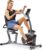 Sunny Health & Fitness Smart Indoor Recumbent Bike Trainer, Home Full Body Workout & Cardio Cycling Machine for Seniors, Free SunnyFit Bluetooth Connect, Optional Arm Exerciser Hand Cycle & Bands