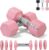 Adjustable Dumbbell Set of 2 Total 20 Lbs 4-in-1 Each 4lb 6lb 8lb 10lb 1s-Adjust Dual-Stable Free Weights for Women Men Home Gym Outdoor Workouts