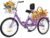 DWVO 24 26 Inch Adult Tricycle, Single Speed 7-Speed 3-Wheel Bike for Adults, Trike for Women Men with Detachable Front and Rear Baskets for Picnic Exercise Shopping