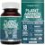 Plant Aminos Organic Essential Amino Acid Supplement (EAAs) & BCAA – 100% Plant-Based Raw, Vegan – All 9 Essential Amino Acids with 18 Total Amino Acids (360 Tablets)