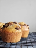 10 Foods to Include in Your Healthy Diet Plan Today